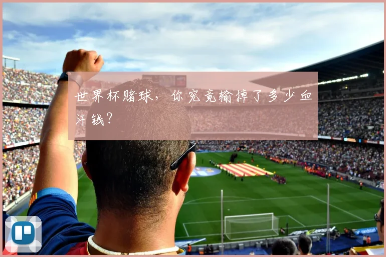 世界杯赌球，你究竟输掉了多少血汗钱？