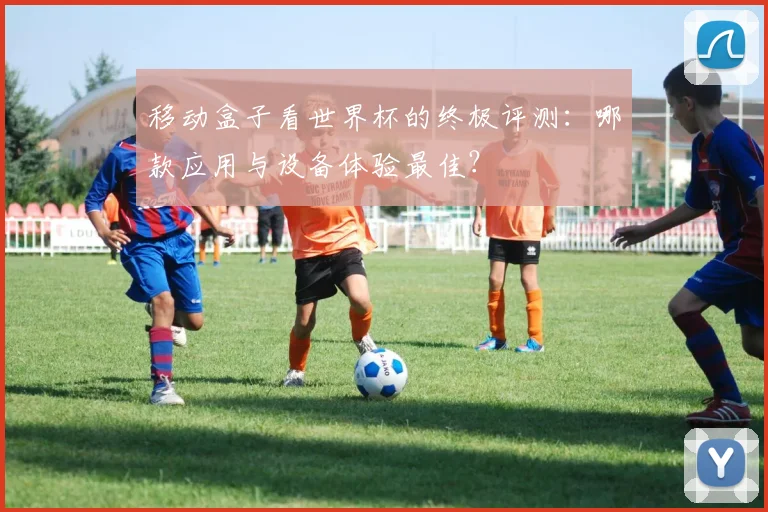 移动盒子看世界杯的终极评测：哪款应用与设备体验最佳？