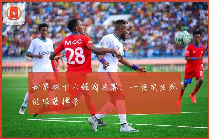 世界杯十六强淘汰赛:一场定生死的绿茵搏杀