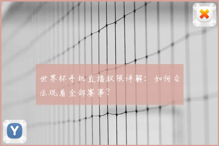 世界杯手机直播权限详解：如何合法观看全部赛事？